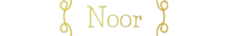 Arinoor Transparent Logo